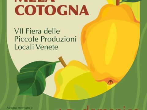 Fonte: https://www.comune.codogne.tv.it/vivere-il-comune/eventi/xxiv-festa-della-mela-cotogna/